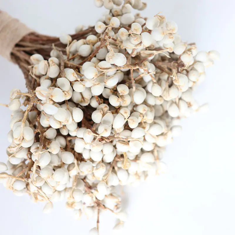 Dried White Fruit Flowers 100g for Home Decor