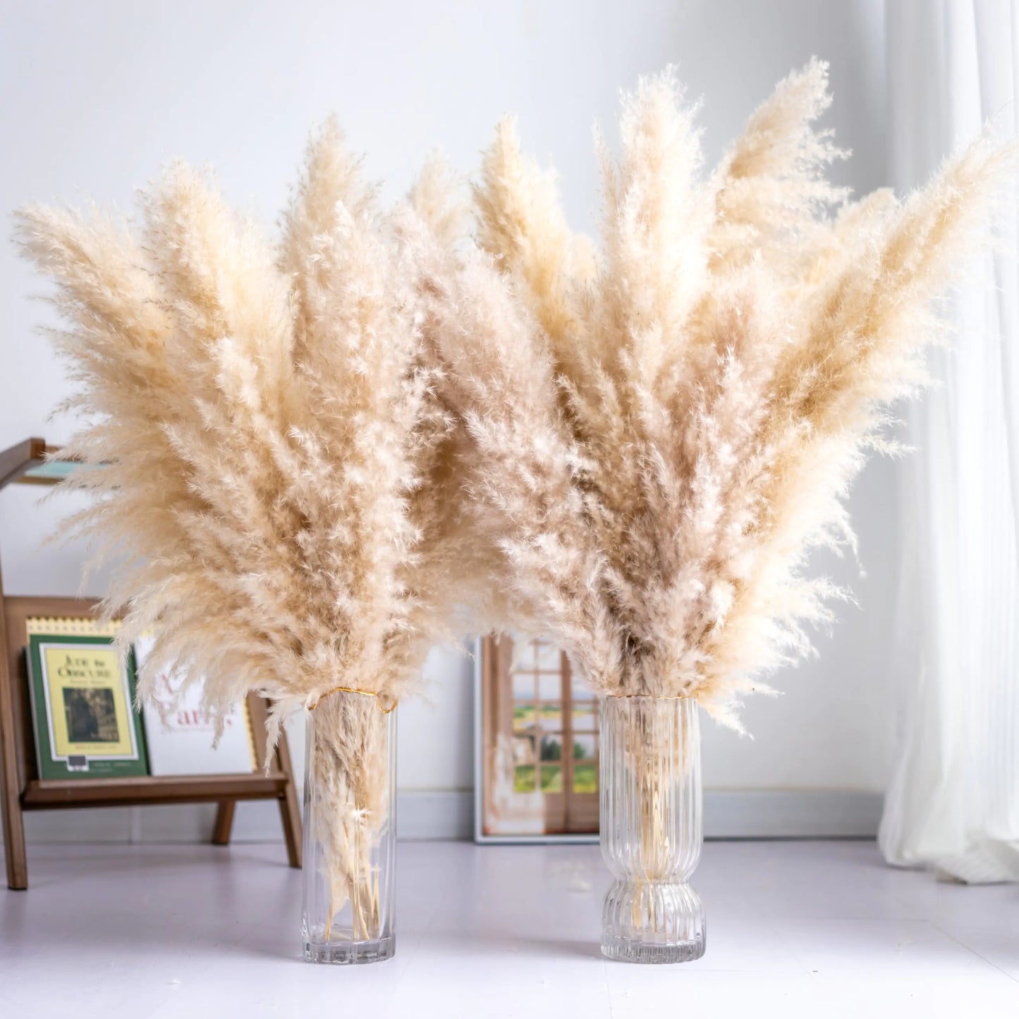 Tall Pampas Grass 10PCS