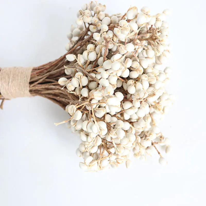 Dried White Fruit Flowers 100g for Home Decor