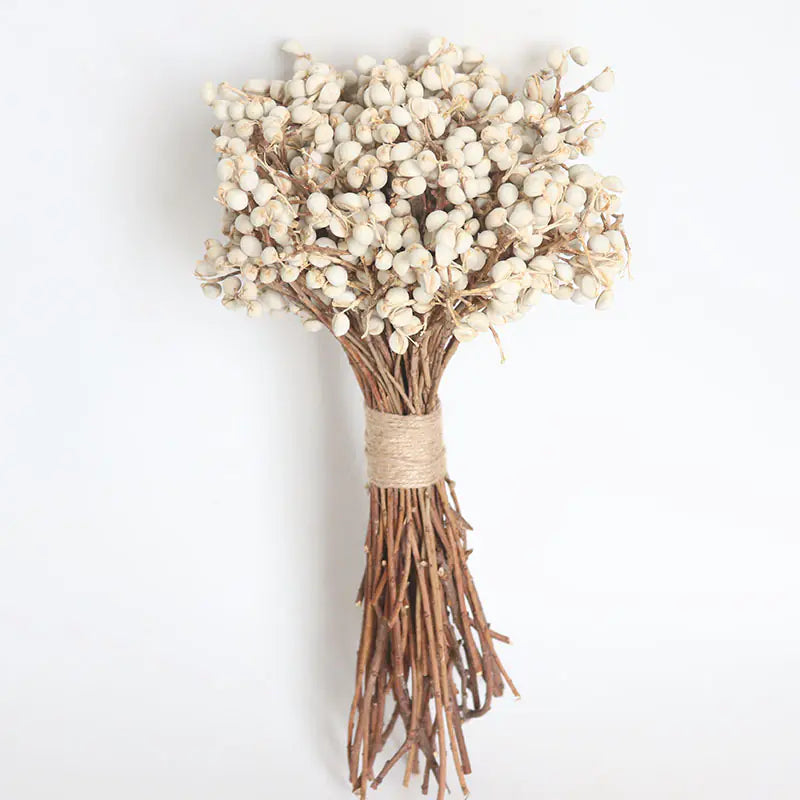 Dried White Fruit Flowers 100g for Home Decor