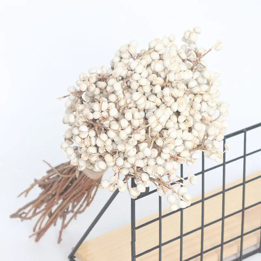 Dried White Fruit Flowers 100g for Home Decor