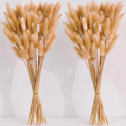 120 PCS Nature Dried Pampas Grass 17-inch